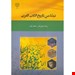 خلاصه ای از کتاب تاریخ ادب عربی