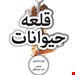 ترجمه، کتاب جیبی
