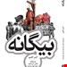 ترجمه، کتاب جیبی