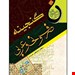 کتاب گنجینه صرف و نحو عربی، تعداد صفحات 404
